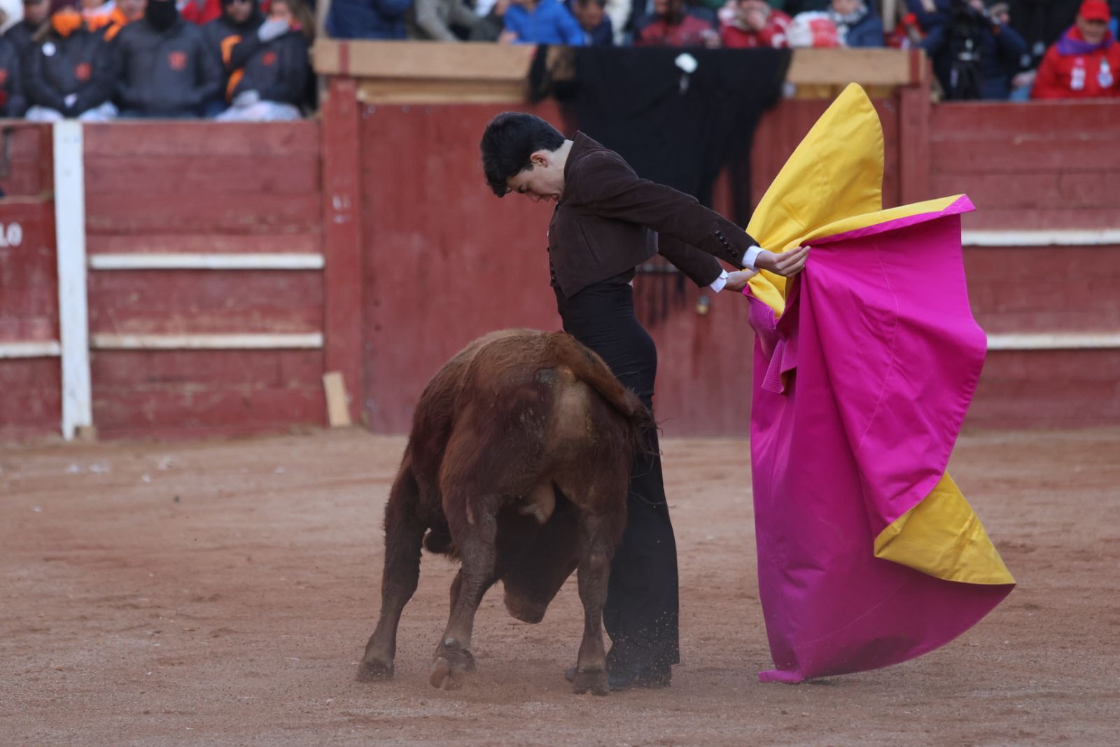 Festival taurino del Sábado en el Carnaval del Toro 2026 de Ciudad Rodrigo