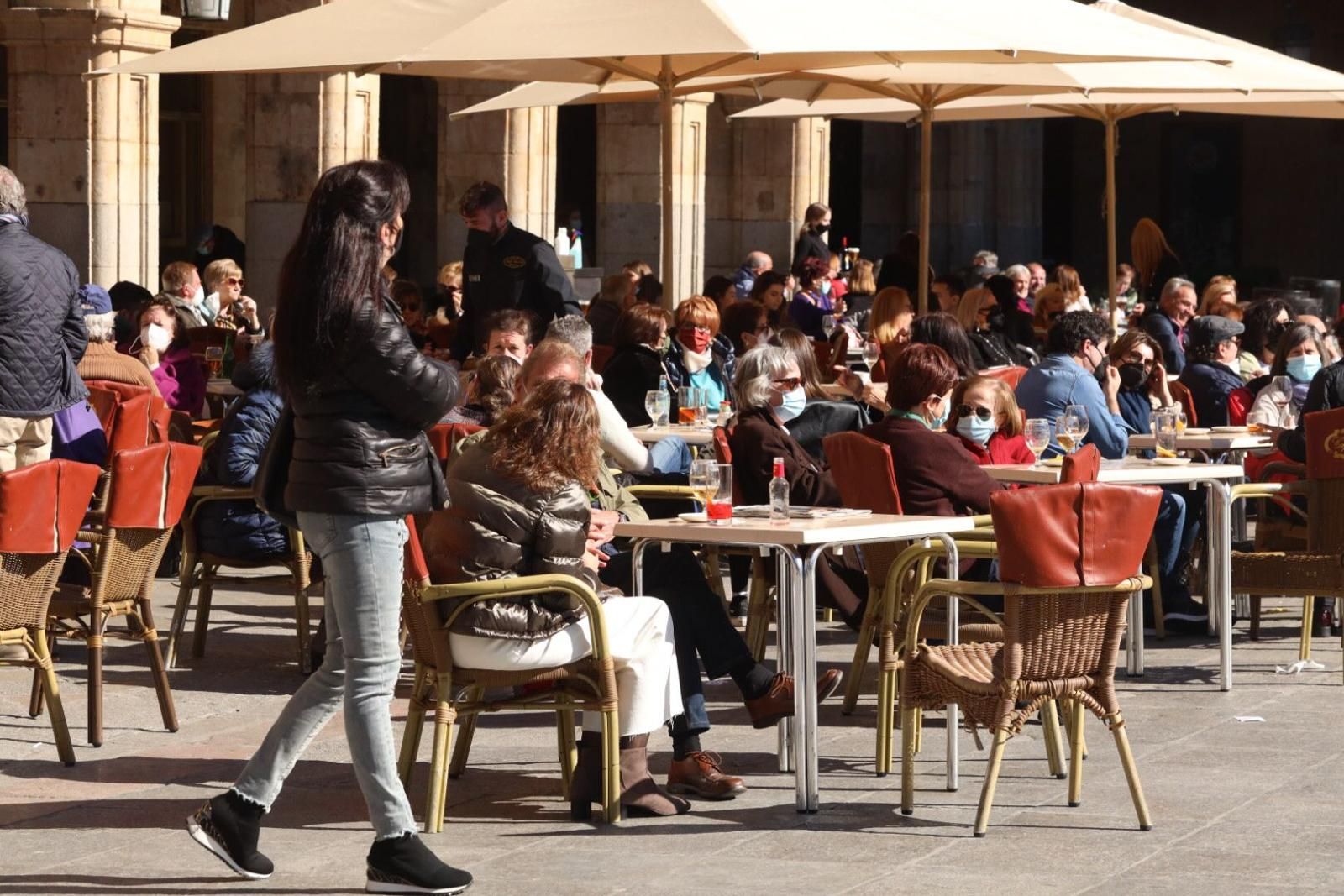 terrazas-en-salamanca-el-13-de-febrero-29