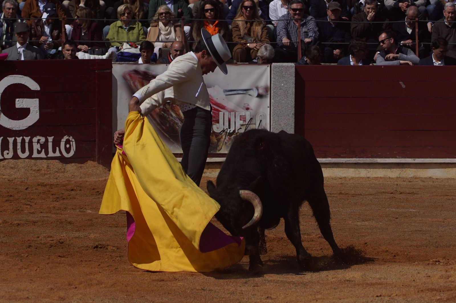 Festival taurino solidario por la esclerosis múltiple en Guijuelo