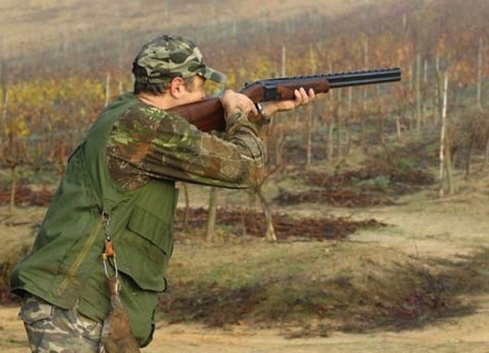 Medio Ambiente autoriza la caza de 40 lobos en Zamora para la actual temporada