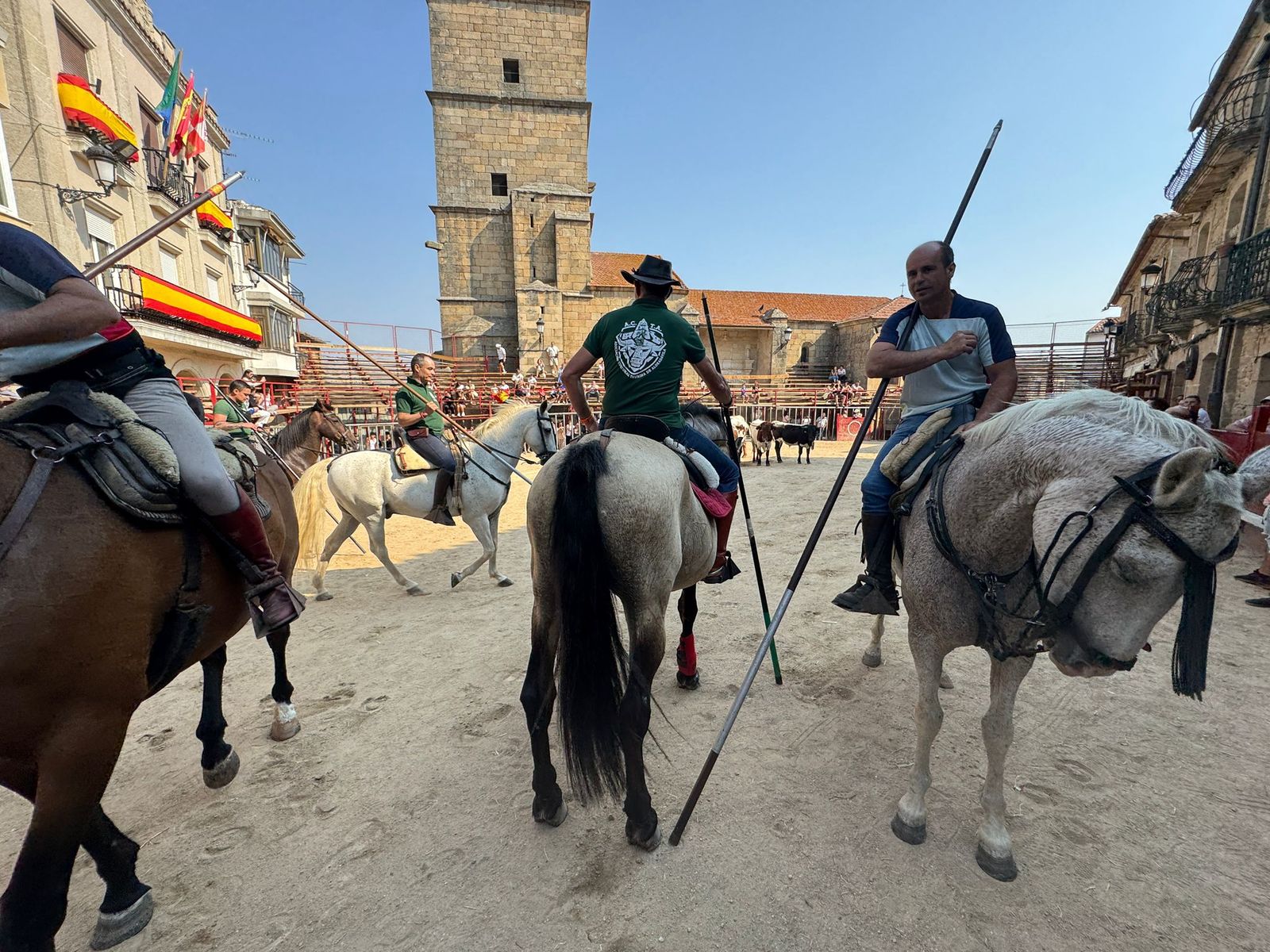 Encierro de bueyes en Aldeadávila de la Ribera para enseñarles el camino para los encierros en sus fiestas 2025