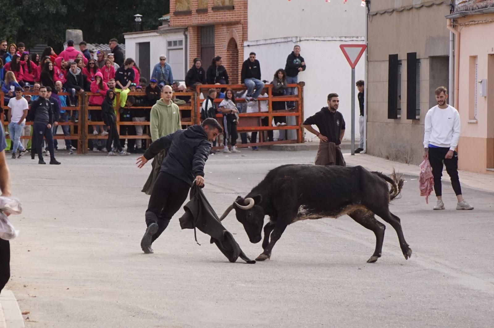 whatsapp-image-2024-09-08-at-14-04-58-1