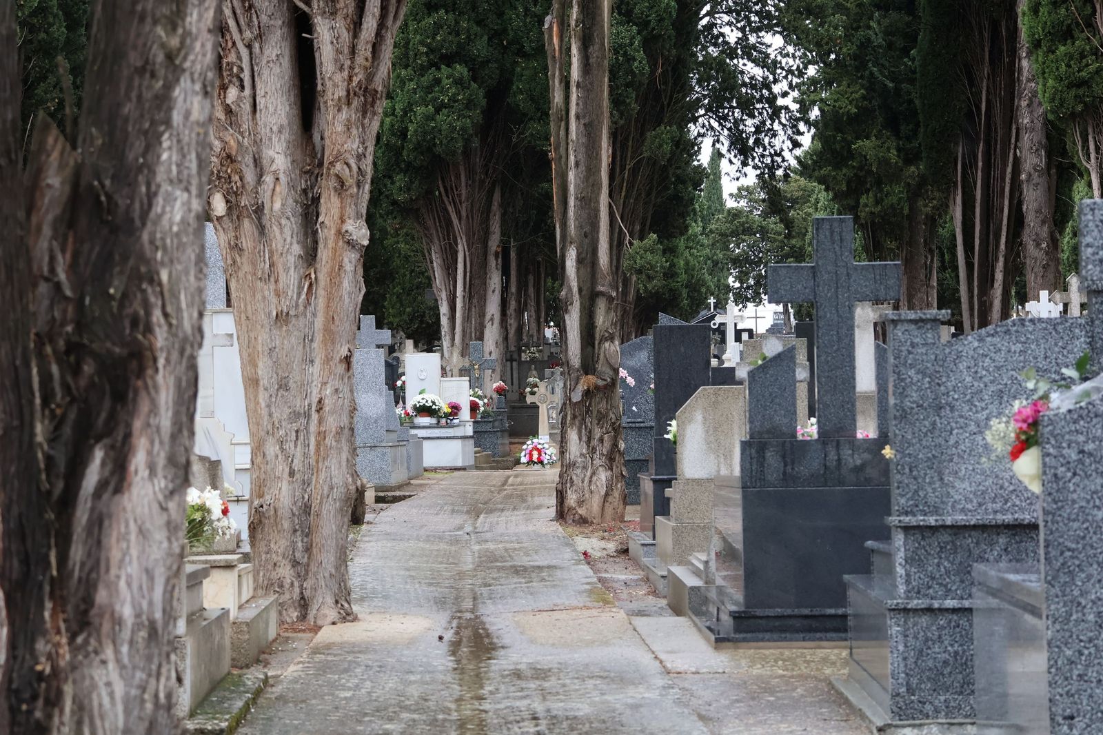 GALERÍA | La lluvia no detiene la tradición: los zamoranos acuden al cementerio para recordar a sus fallecidos