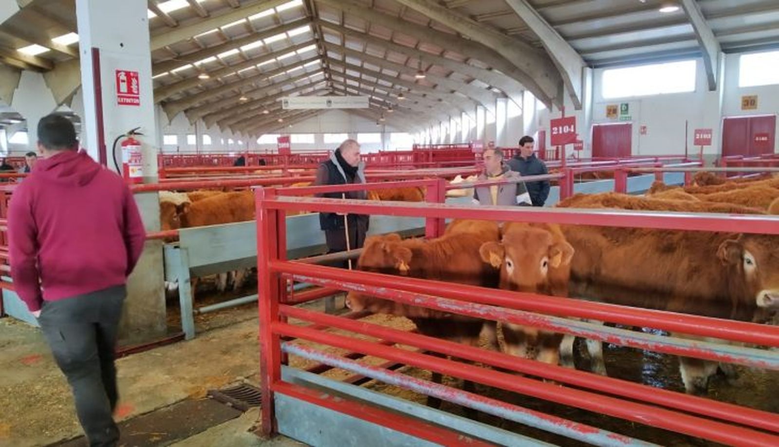 mercado 22 de enero 20243