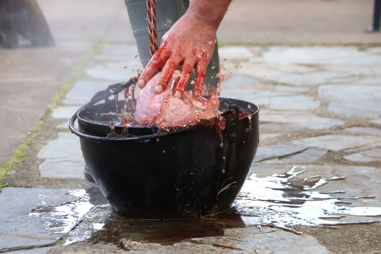 Guijuelo Matanza Típica