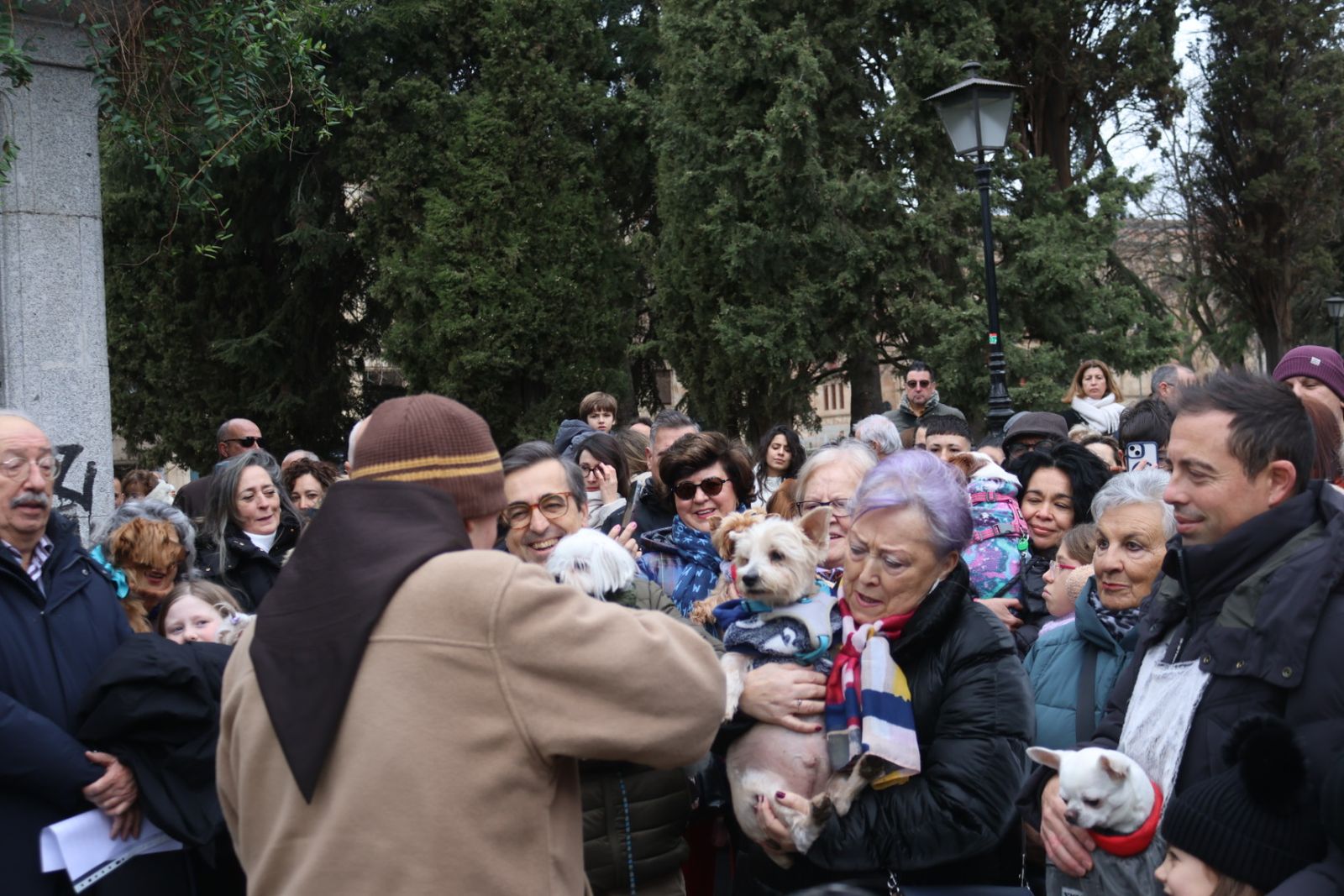 Bendición de los animales por San Antón en el Campo de San Francisco