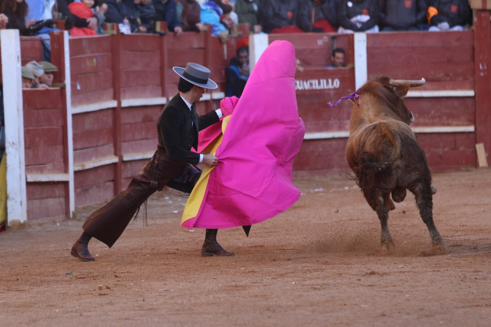 Festival taurino del Sábado en el Carnaval del Toro 2026 de Ciudad Rodrigo
