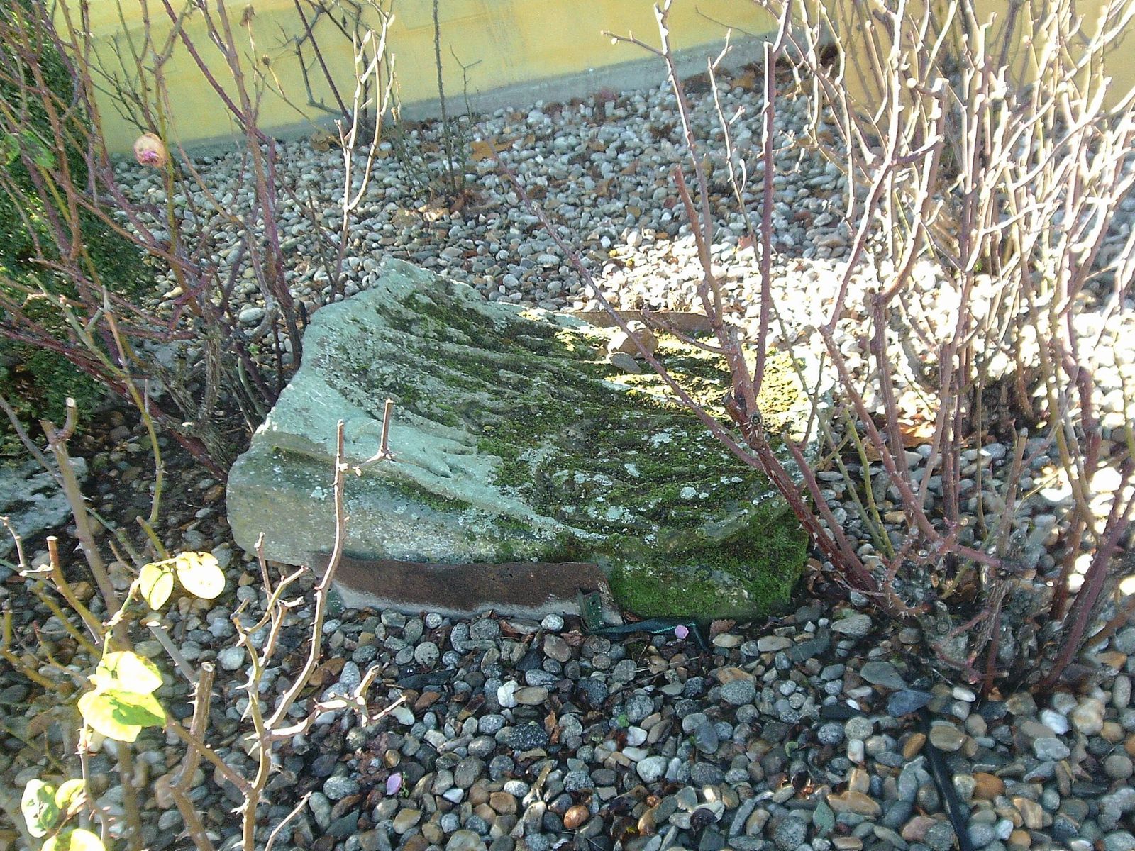 Escudos del Palacio del Duque de la Roca 02