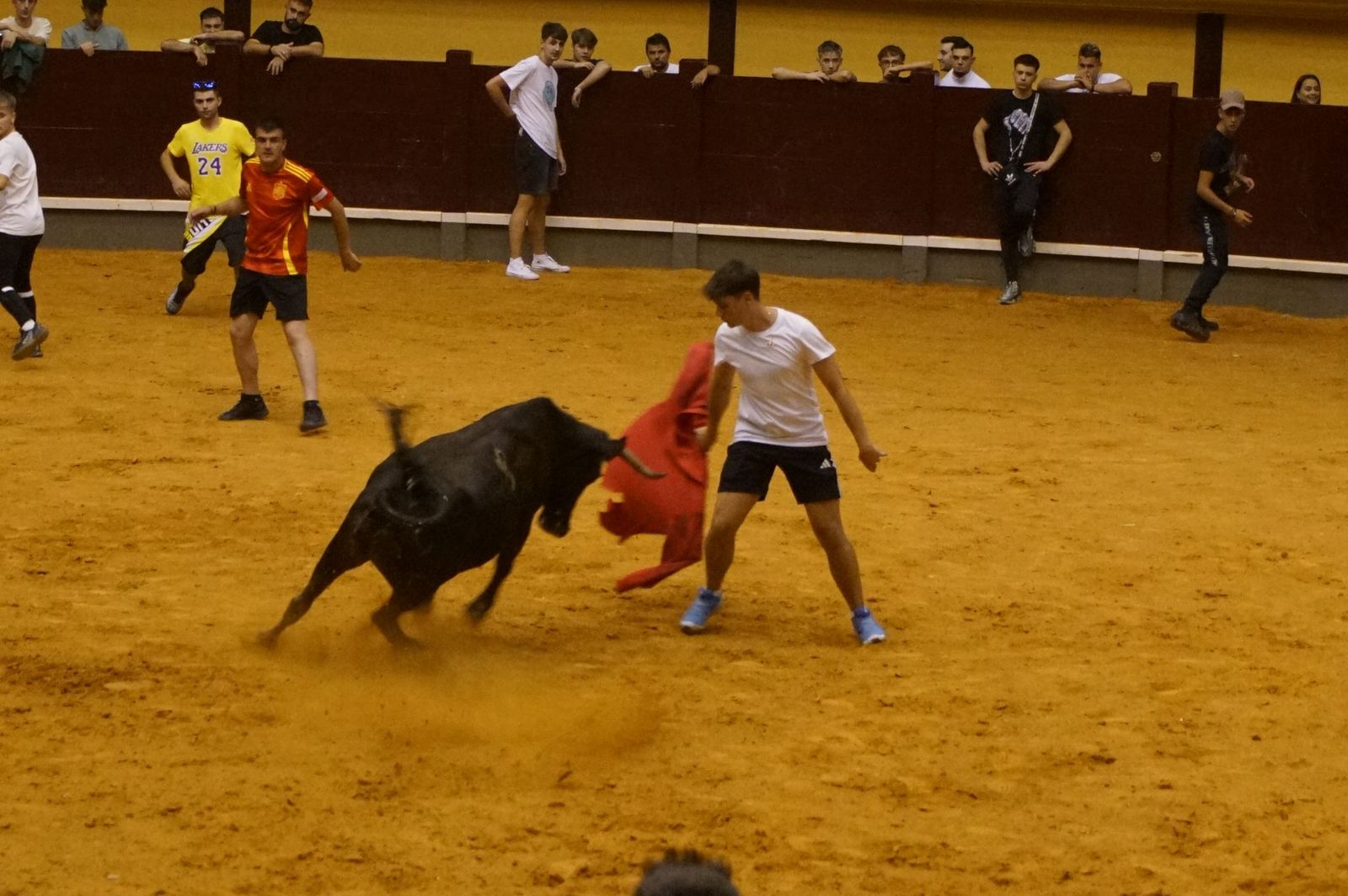 Multitudinario encierro nocturno en Alba de Tormes