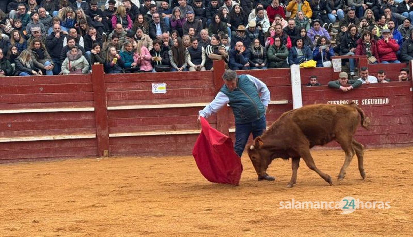 Aficionados prácticos taurinos de Ciudad Rodrigo debutan en el Carnaval del Toro 2025