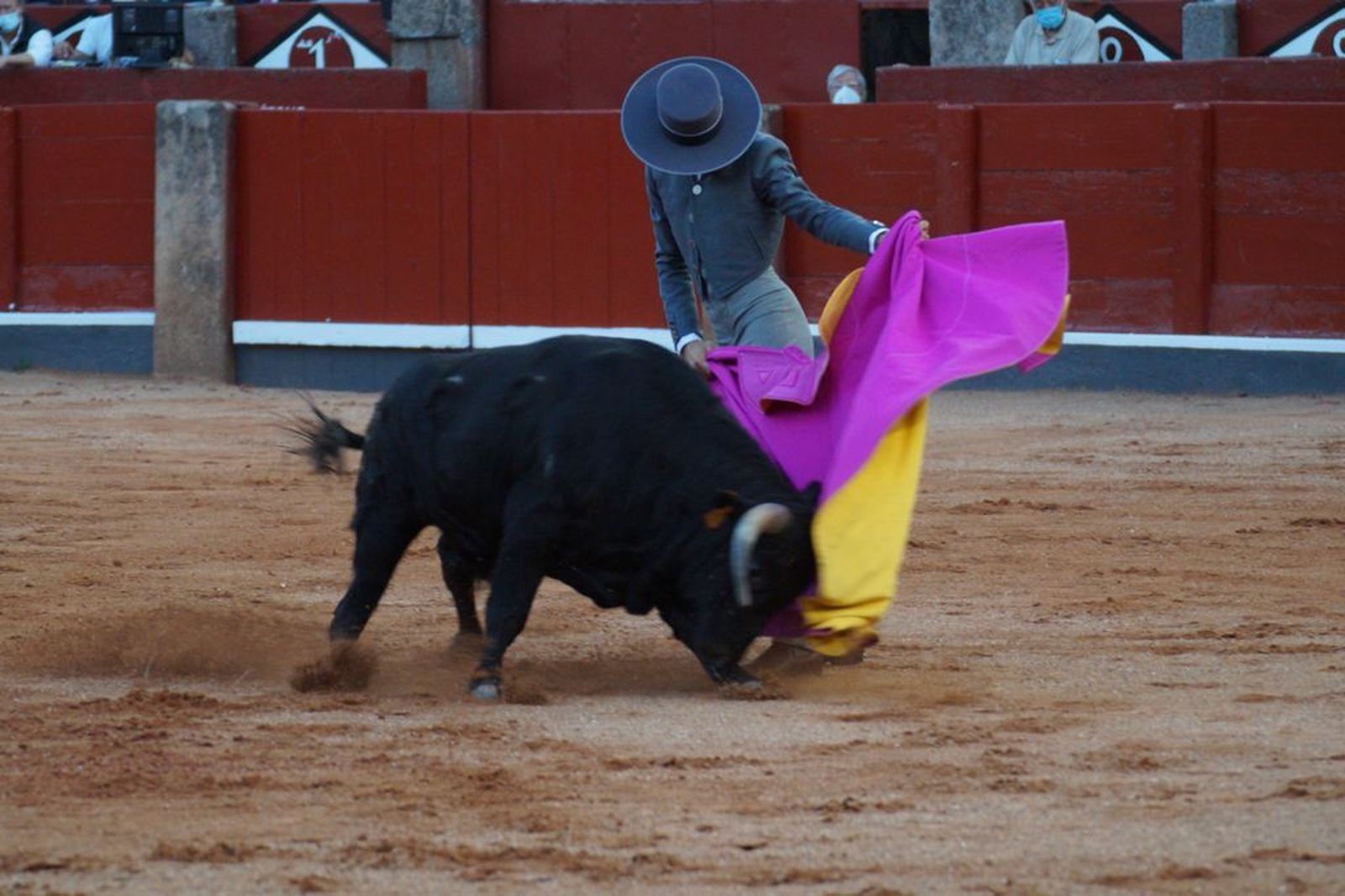 clase-practica-de-tauromaquia-42