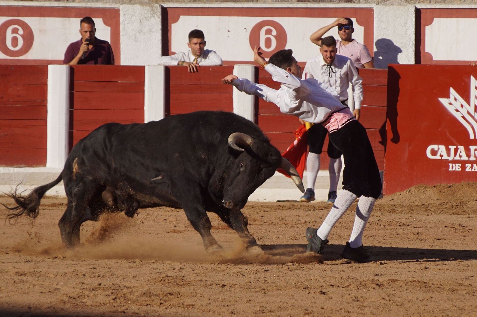 whatsapp-image-2023-07-02-at-22-40-49-1