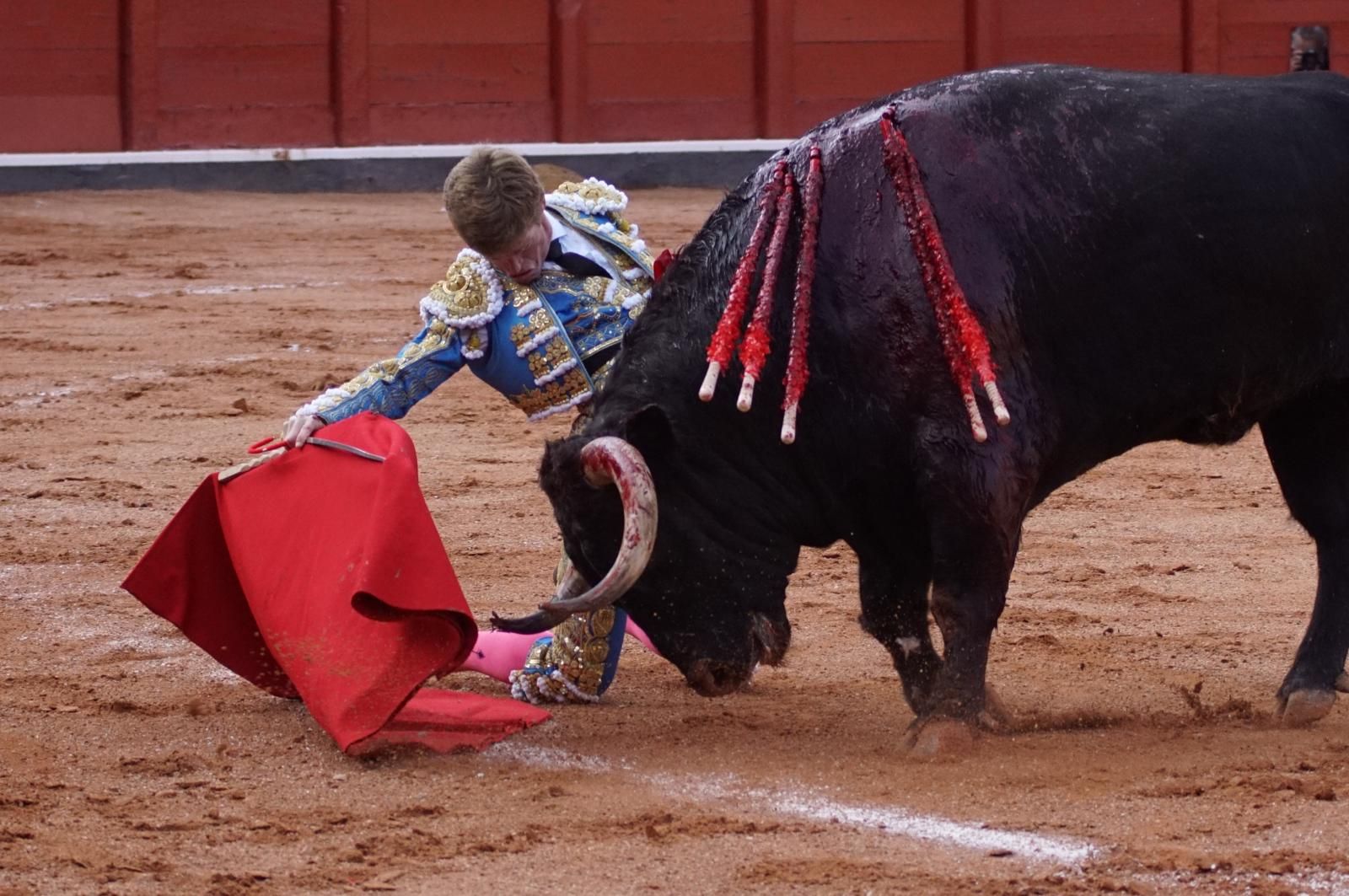 corrida-concurso-momentos-mas-destacados-del-ultimo-festejo-de-abono-de-la-feria-taurina-virgen-de-la-vega-2024-fotos-carlos-h-g-y-juanes-10