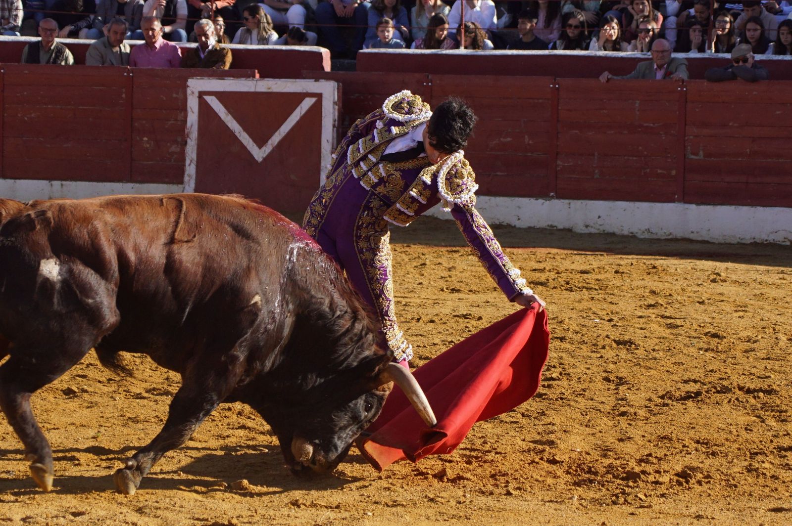 novillada-con-picadores-en-villoria-61