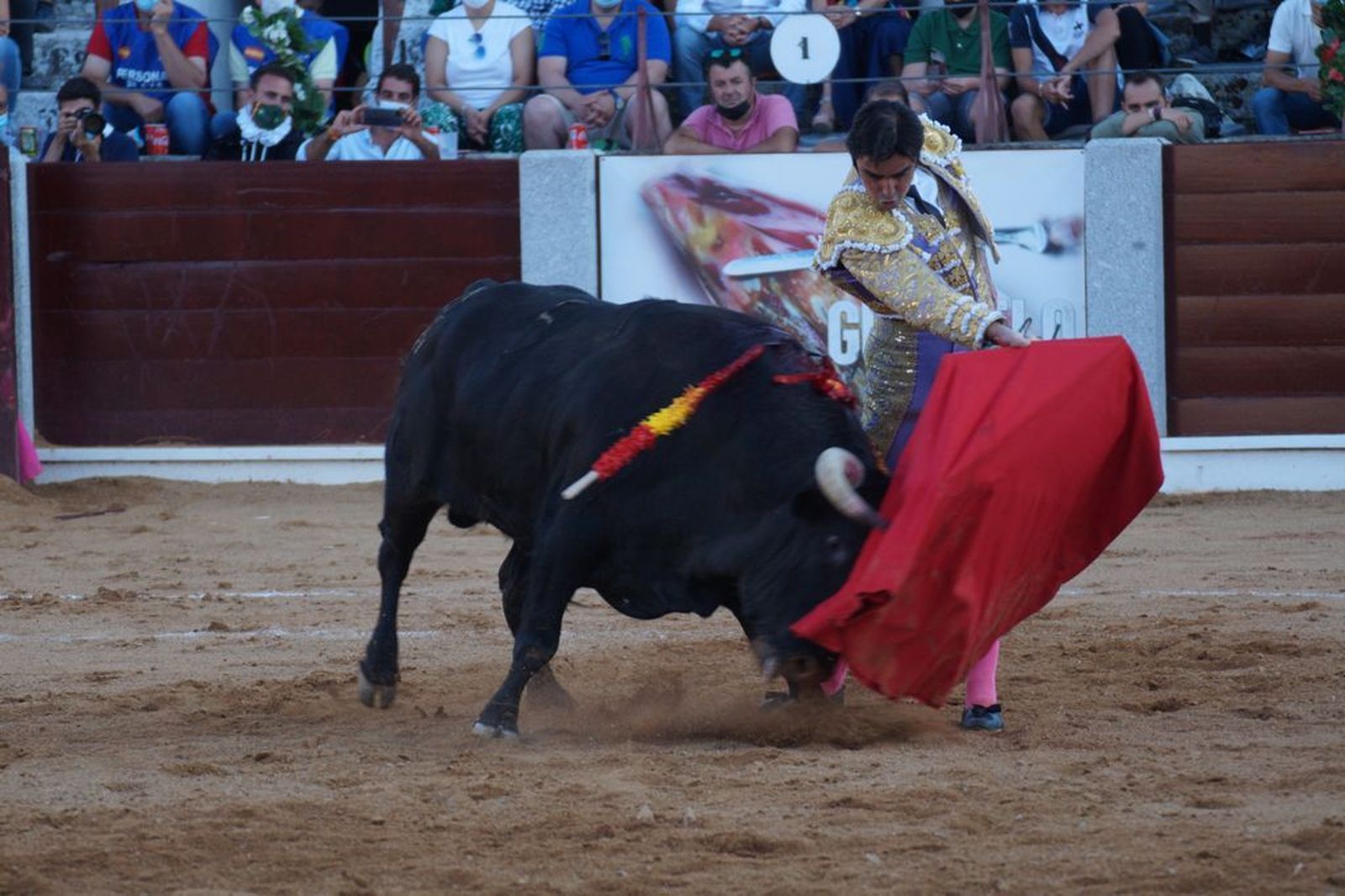guijuelo-toros-el-puerto-de-san-lorenzo-31