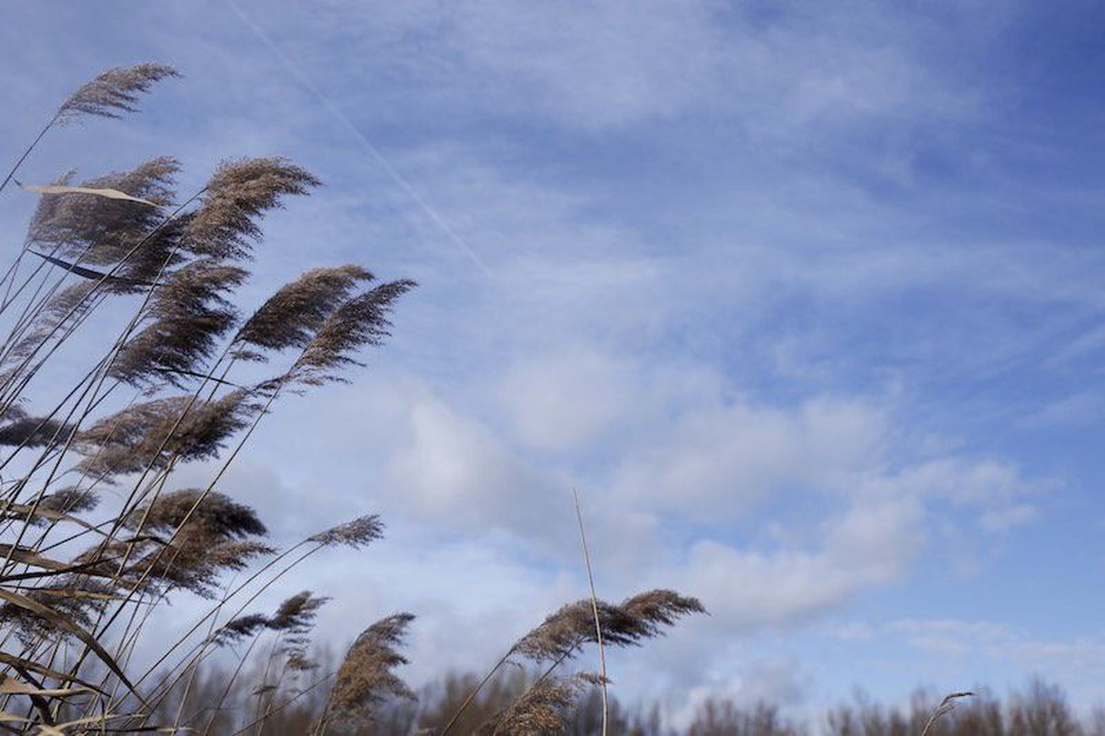Precipitaciones débiles para iniciar el fin de semana