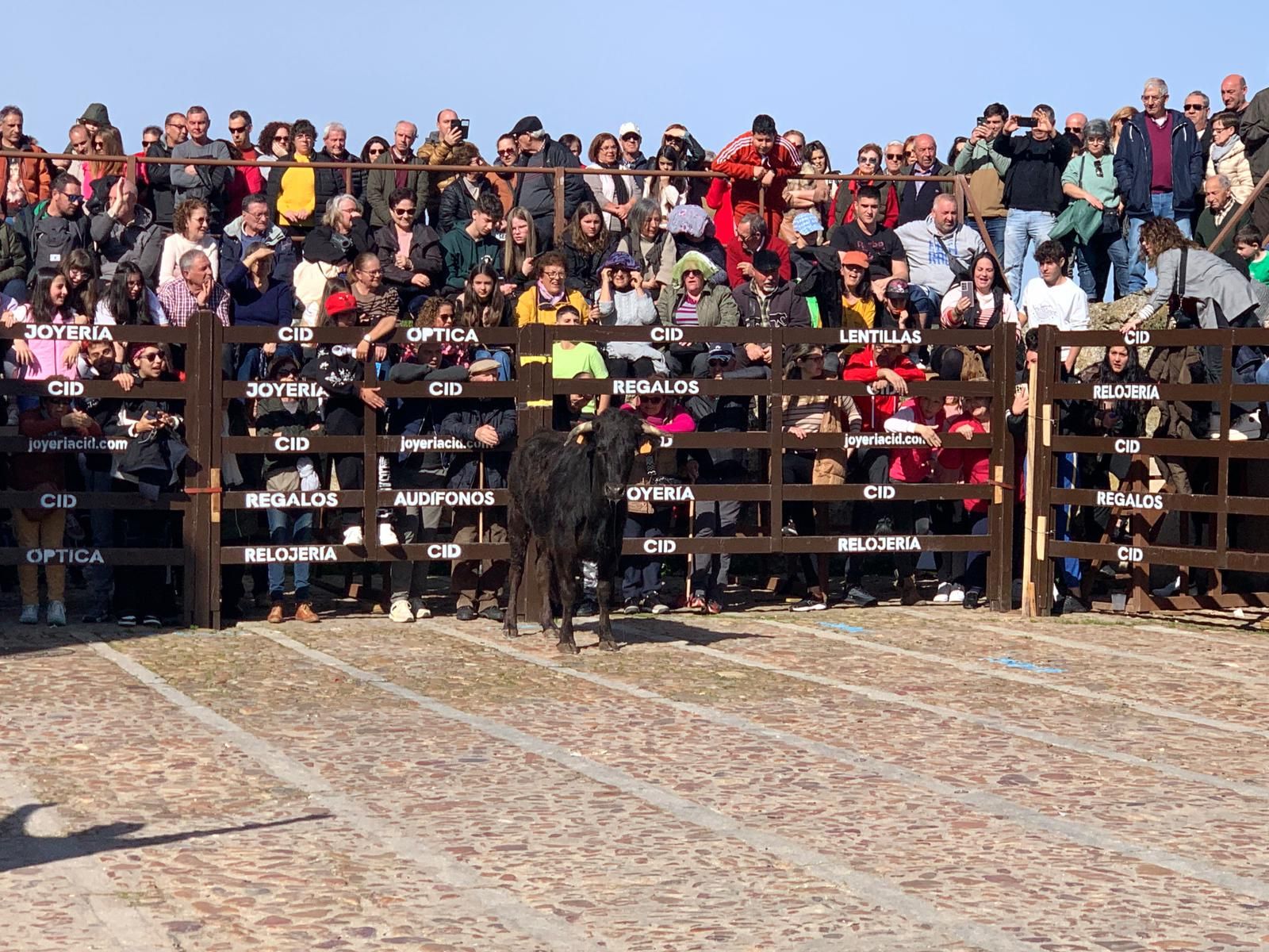 ambiente-con-la-suelta-de-vaquillas-en-el-domingo-de-pinata-en-ciudad-rodrigo-10
