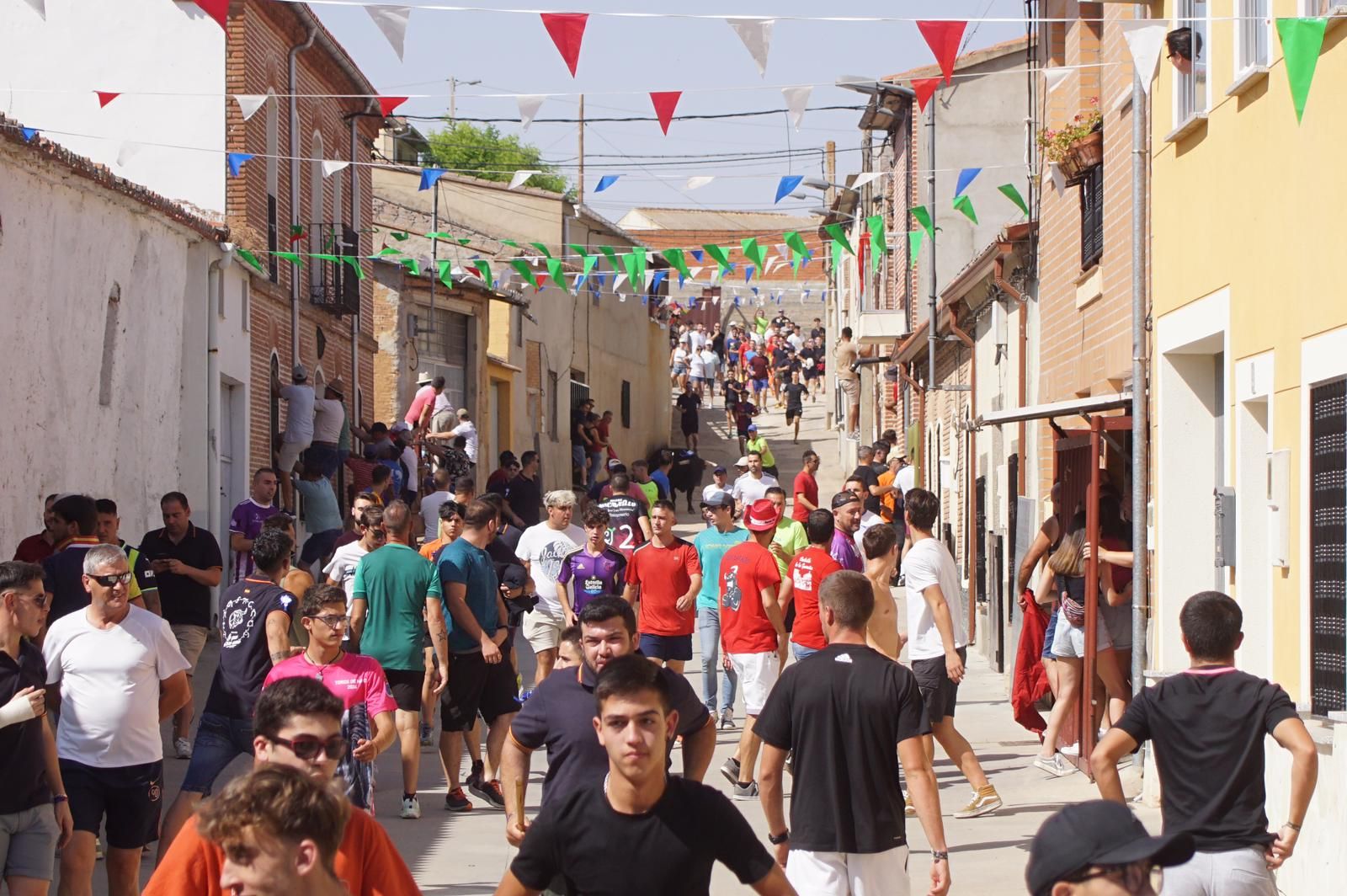 toro-de-cajon-de-castrillo-de-la-guarena-fotos-juanes-24