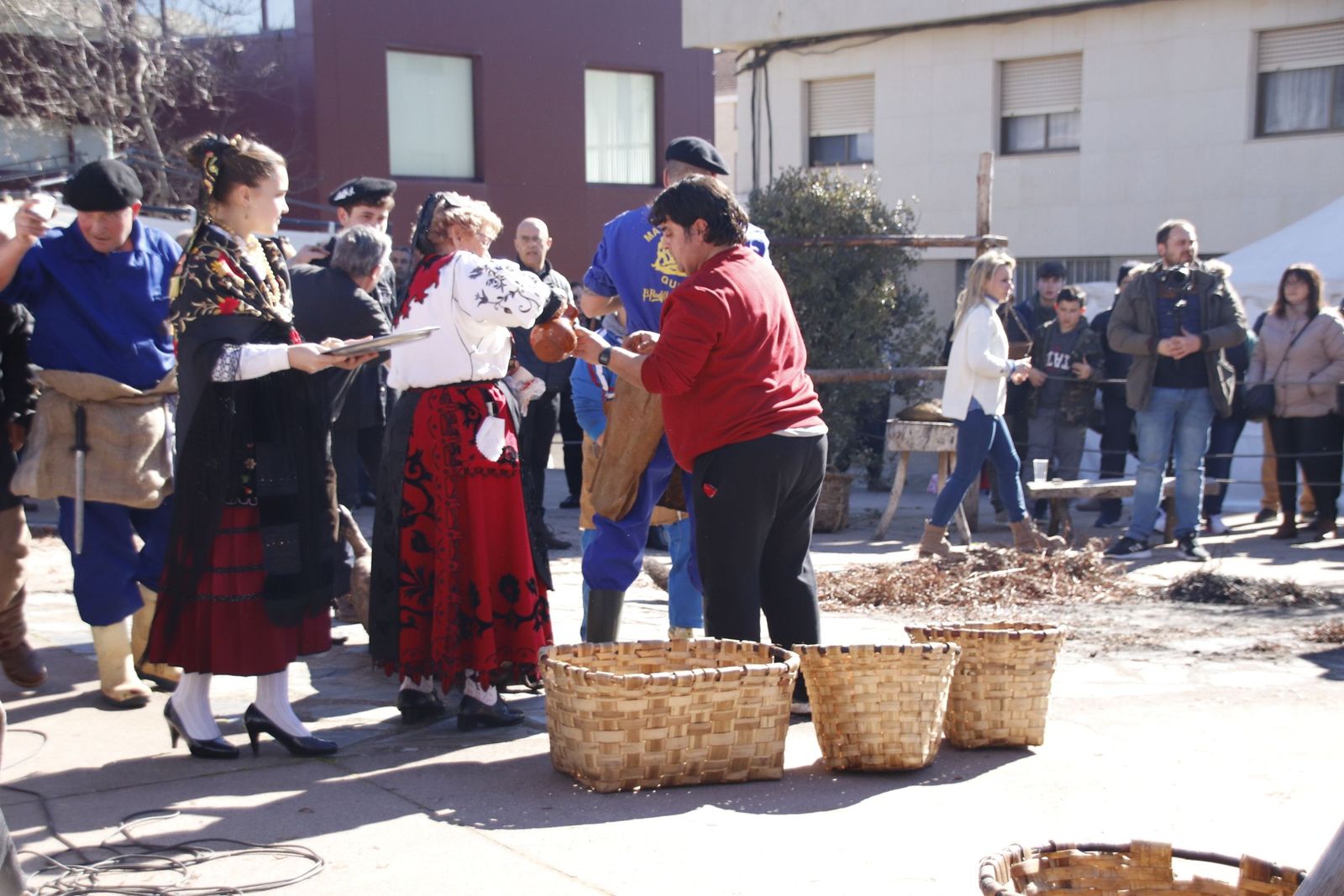 20230204131317-mg-5017