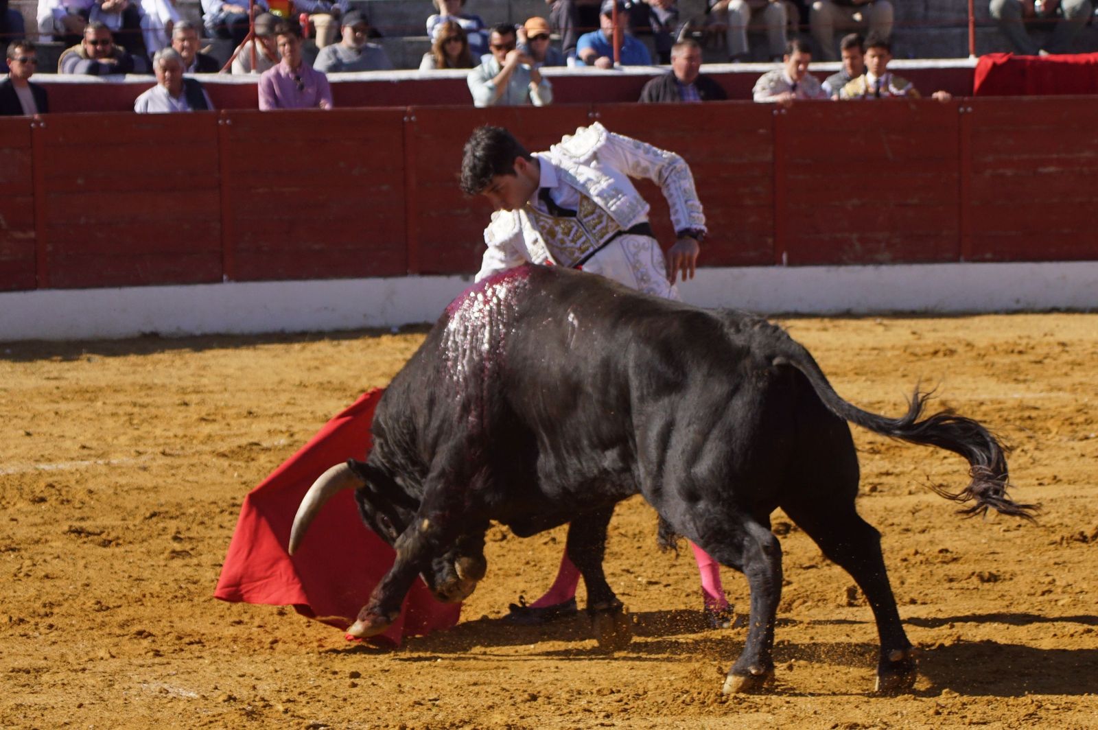 novillada-con-picadores-en-villoria-33