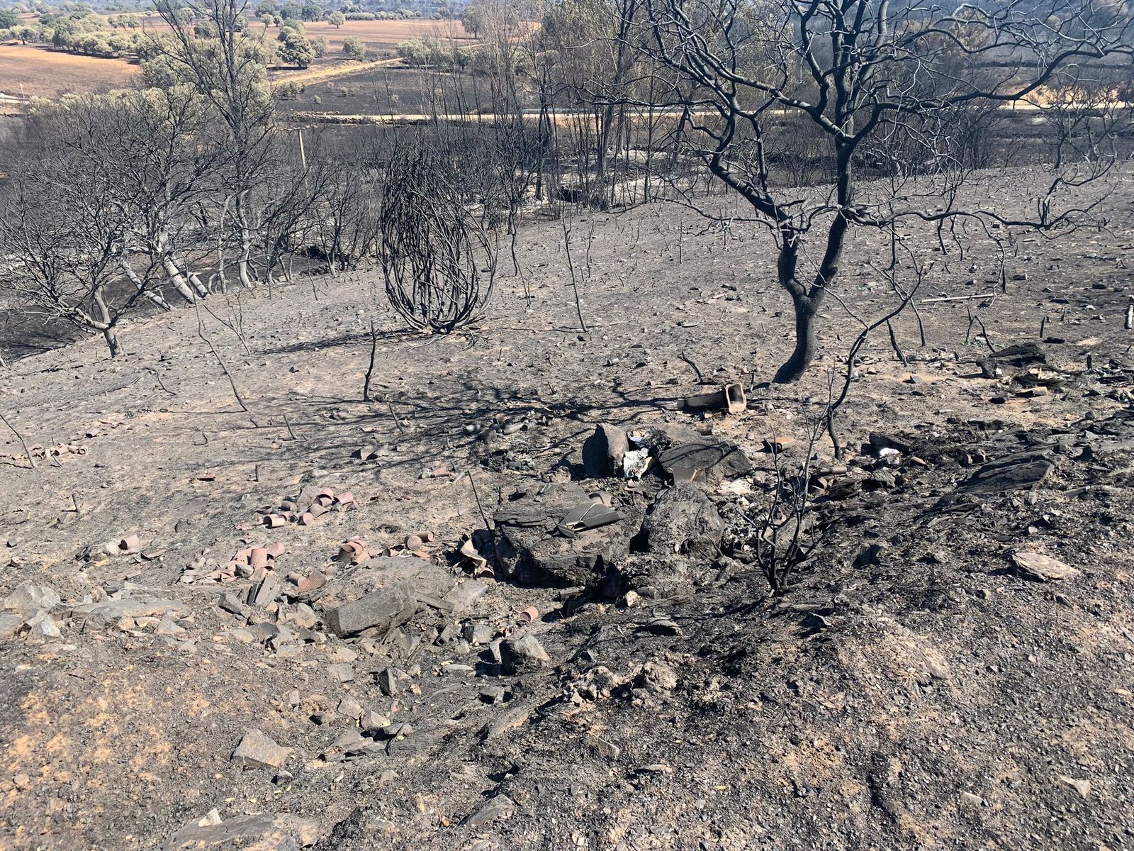 tras-el-horror-la-deslacion-en-zamora-foto-rafael-lorenzo-47