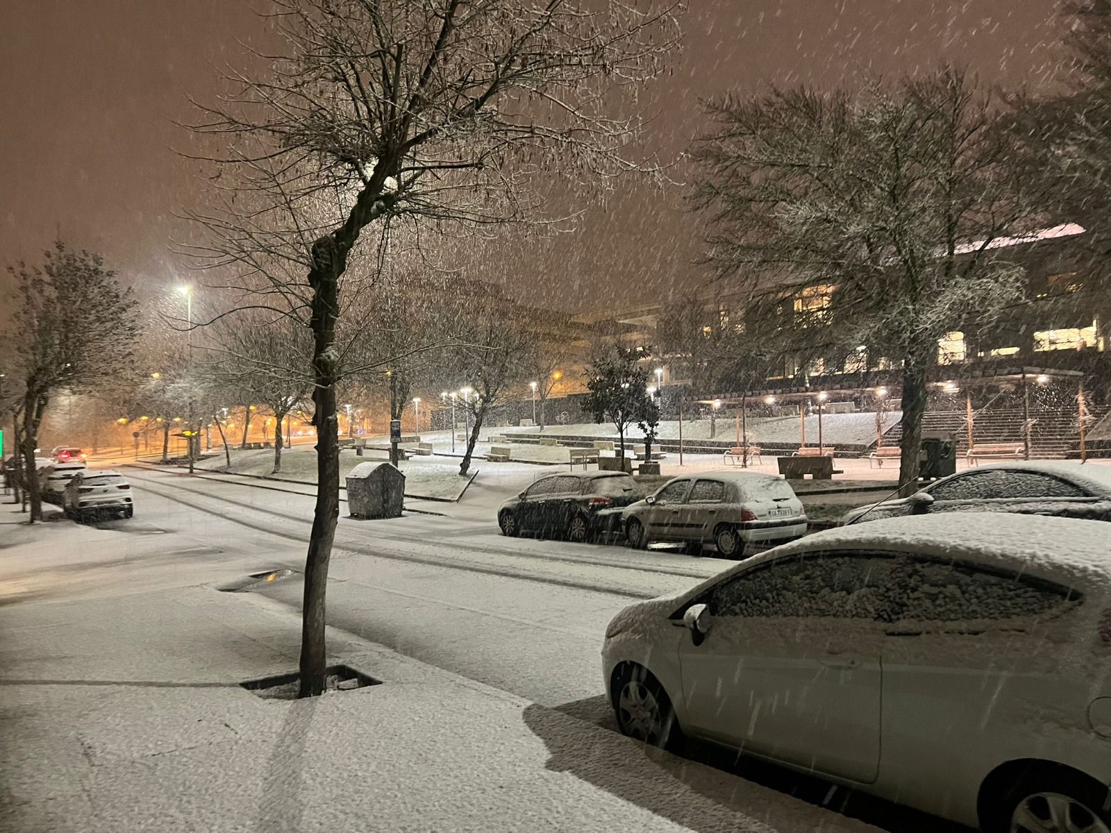 WhatsApp Image 2026-01-28 at 10.12.12 (3).jpeg