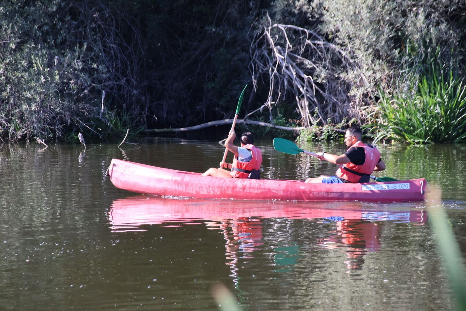 20230813092044-img-1334