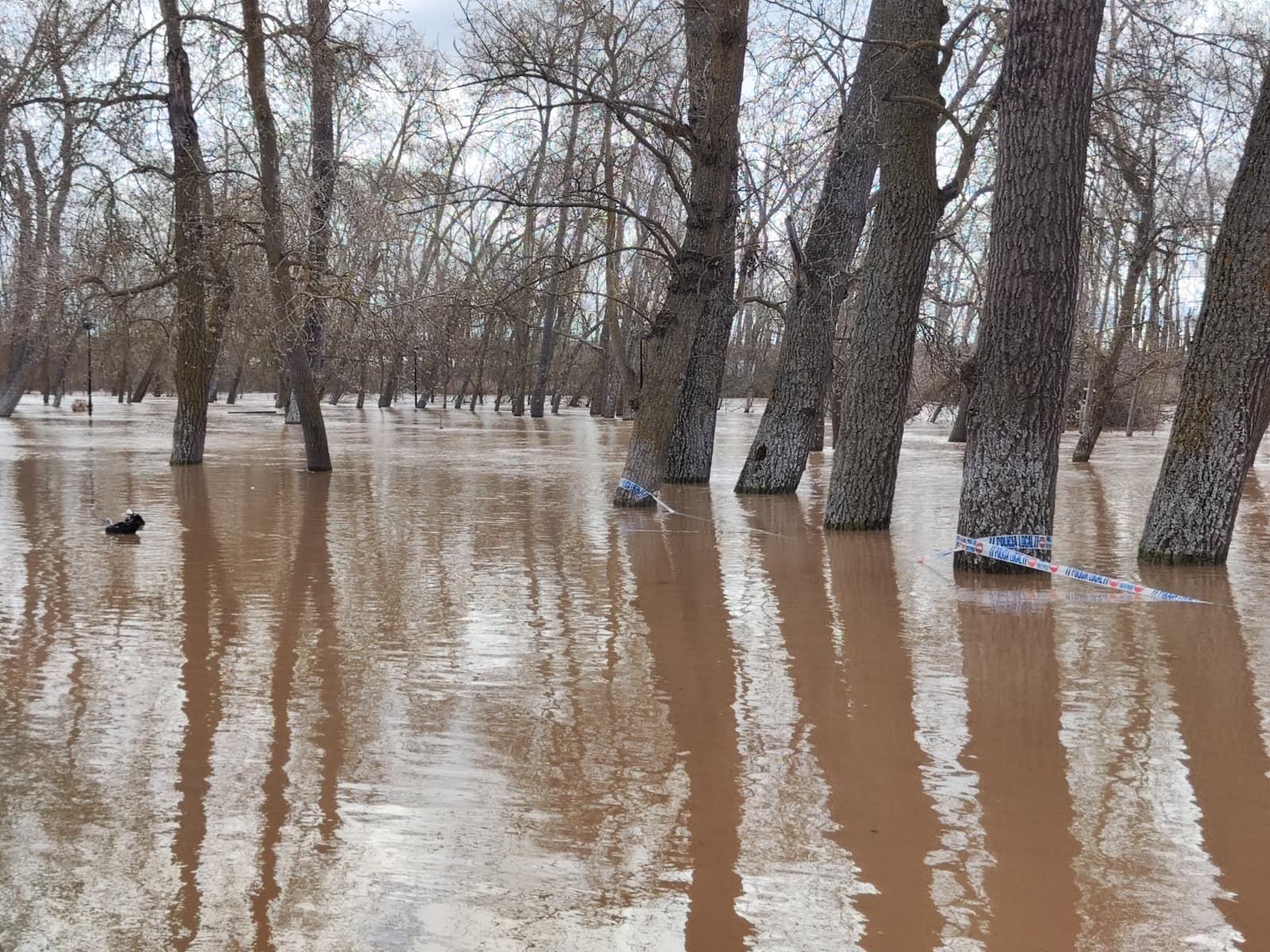 GALERÍA | Crecida del río Duero en Zamora este martes