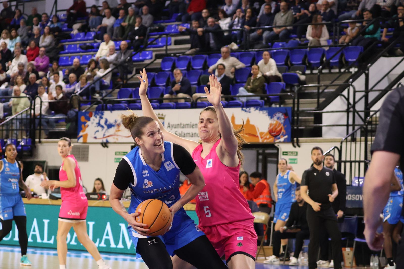 Perfumerías Avenida - Araski