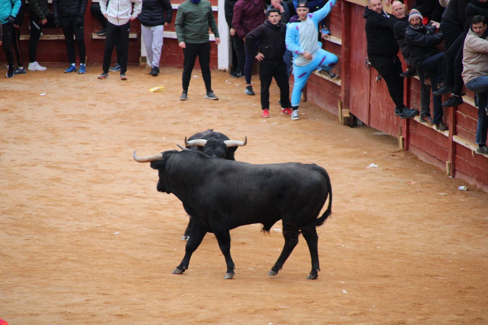 whatsapp-image-2025-03-01-at-13-18-47