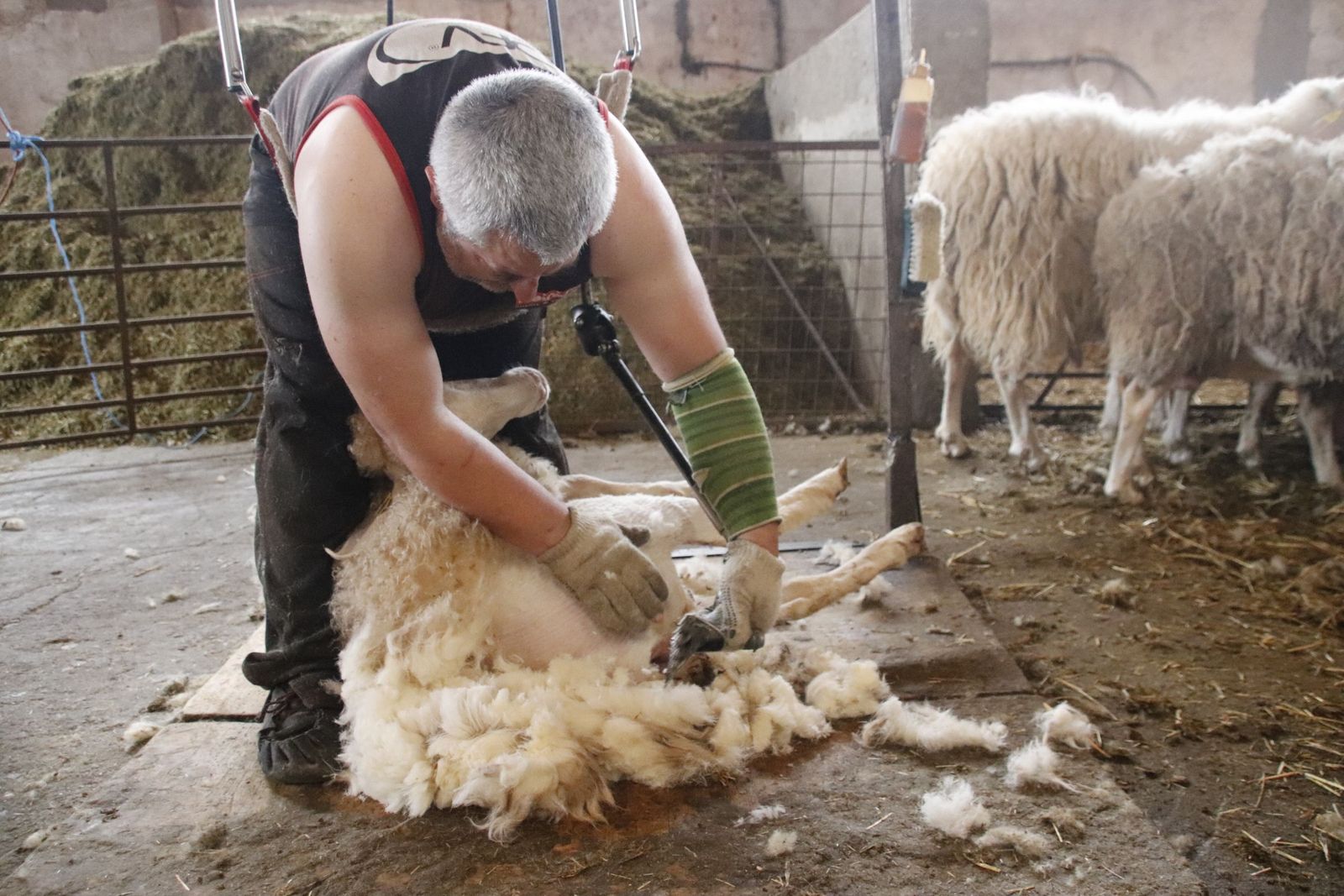 20220520103008-mg-8472