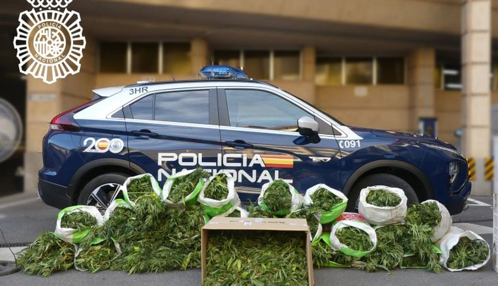Policía Nacional detiene a un varón y desmantela una plantación “indoor” de marihuana