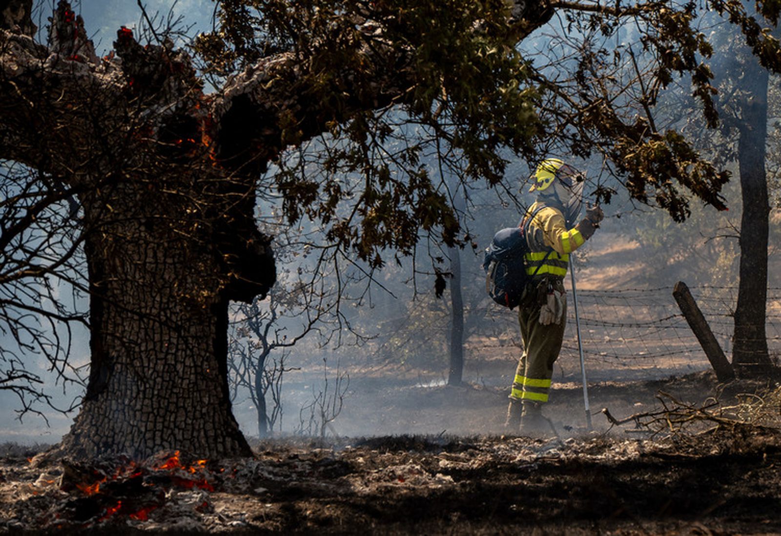 El fuego quema una zona de pasto en los entornos de la N-620 y la A-62 en Valdecarpinteros