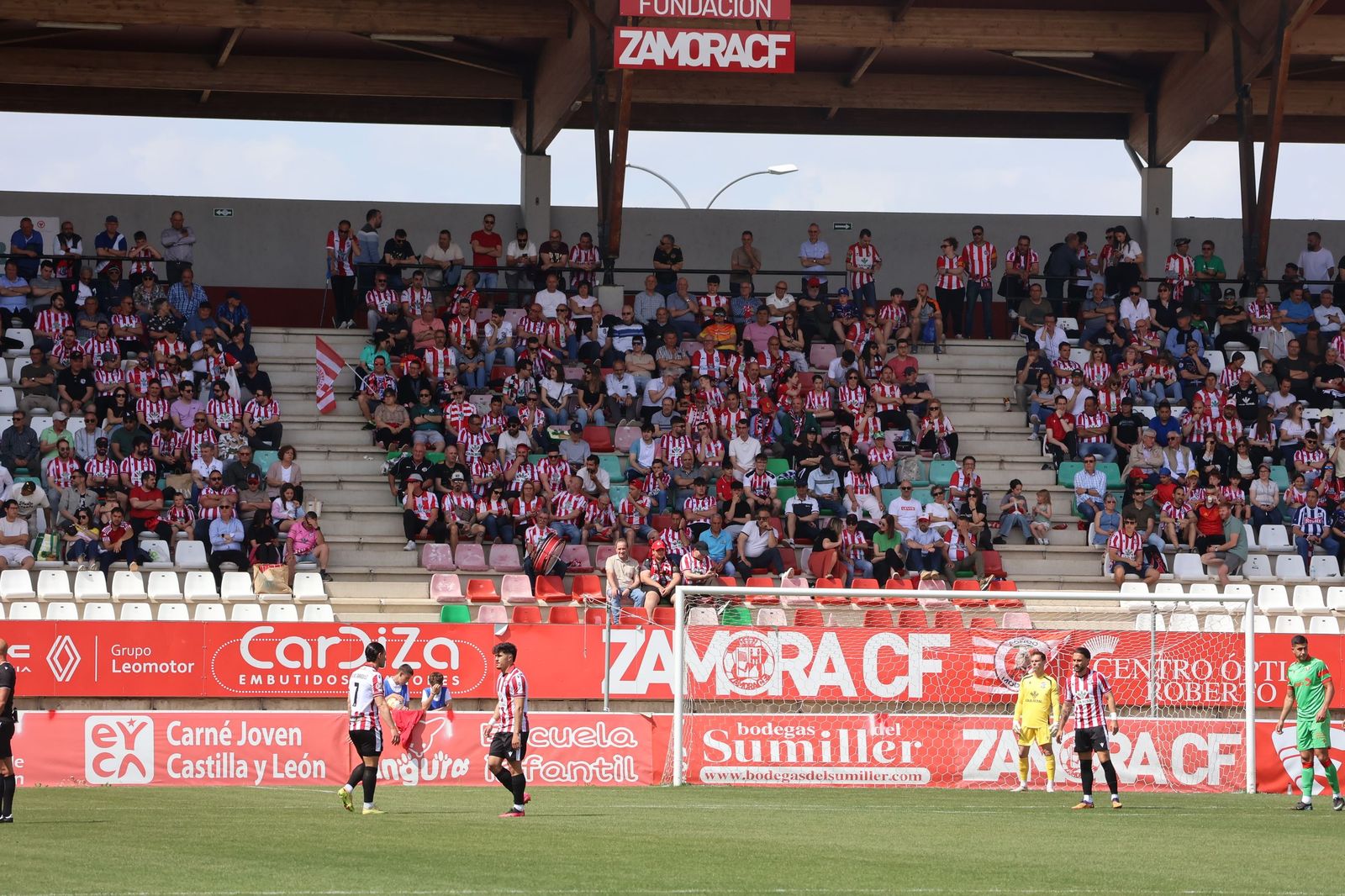Zamora CF - Osasuna B (46).JPG