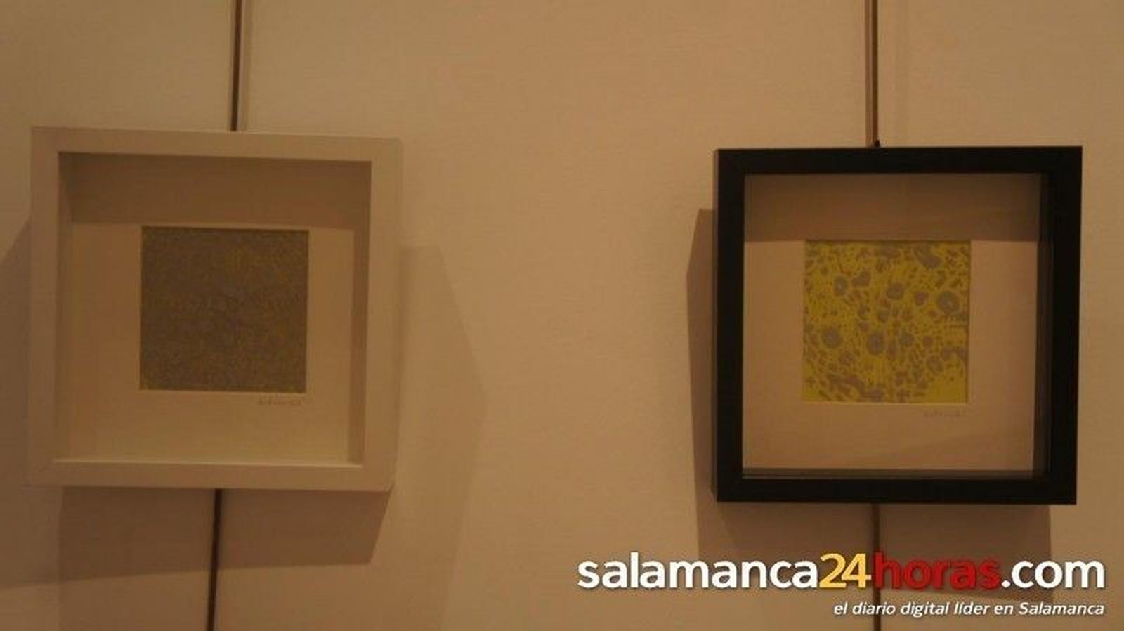 Exposición 'Árboles', de Antonio Diu