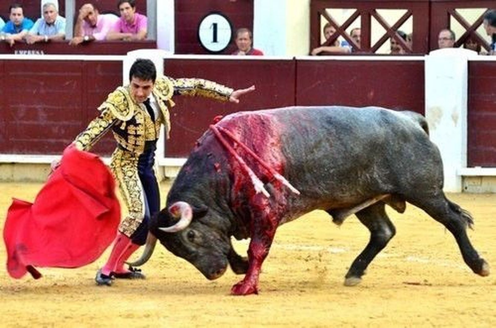 Javier Castaño, también en la Feria de Albacete