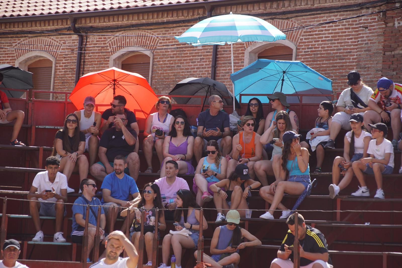 toro-de-cajon-de-castrillo-de-la-guarena-fotos-juanes-38