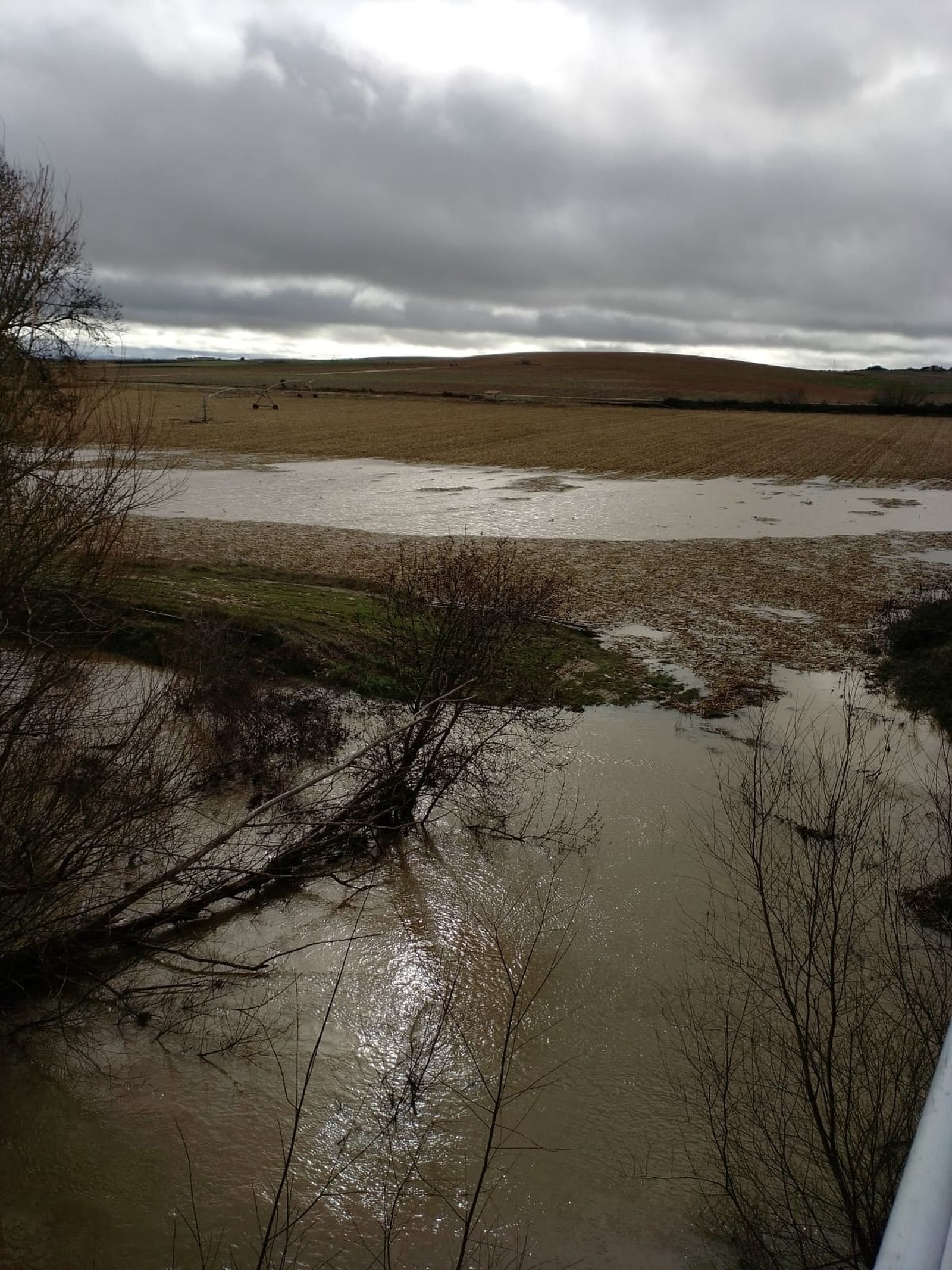 Garcihérnandez, el río Gamo se desborda (8).jpeg