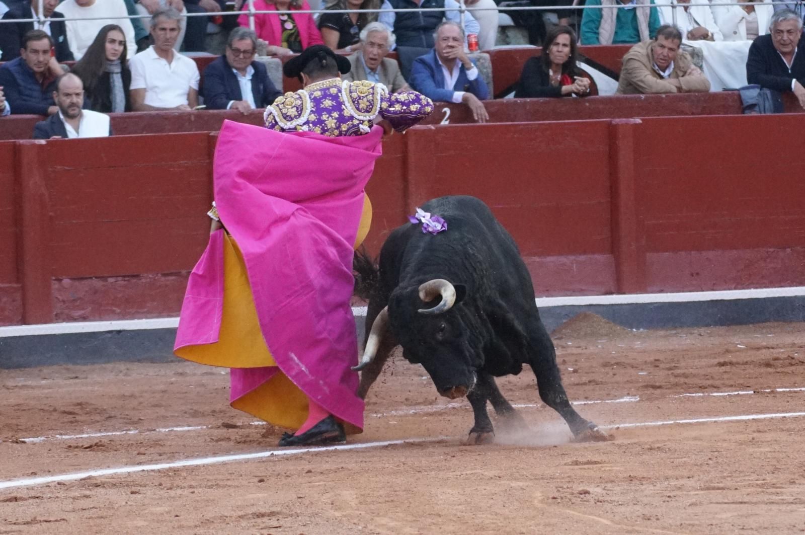 corrida-concurso-momentos-mas-destacados-del-ultimo-festejo-de-abono-de-la-feria-taurina-virgen-de-la-vega-2024-fotos-carlos-h-g-y-juanes-25