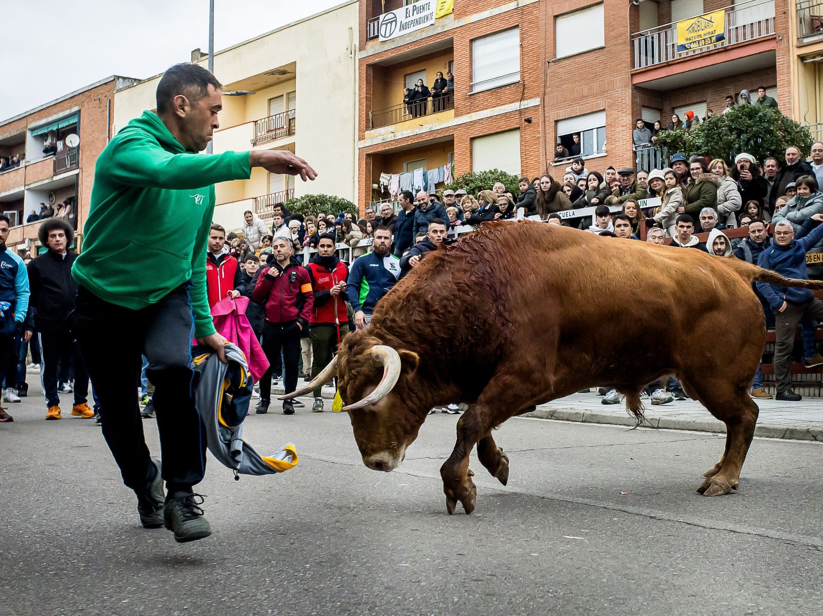 Gran expectación con el Toro de San Sebastián de Ciudad Rodrigo