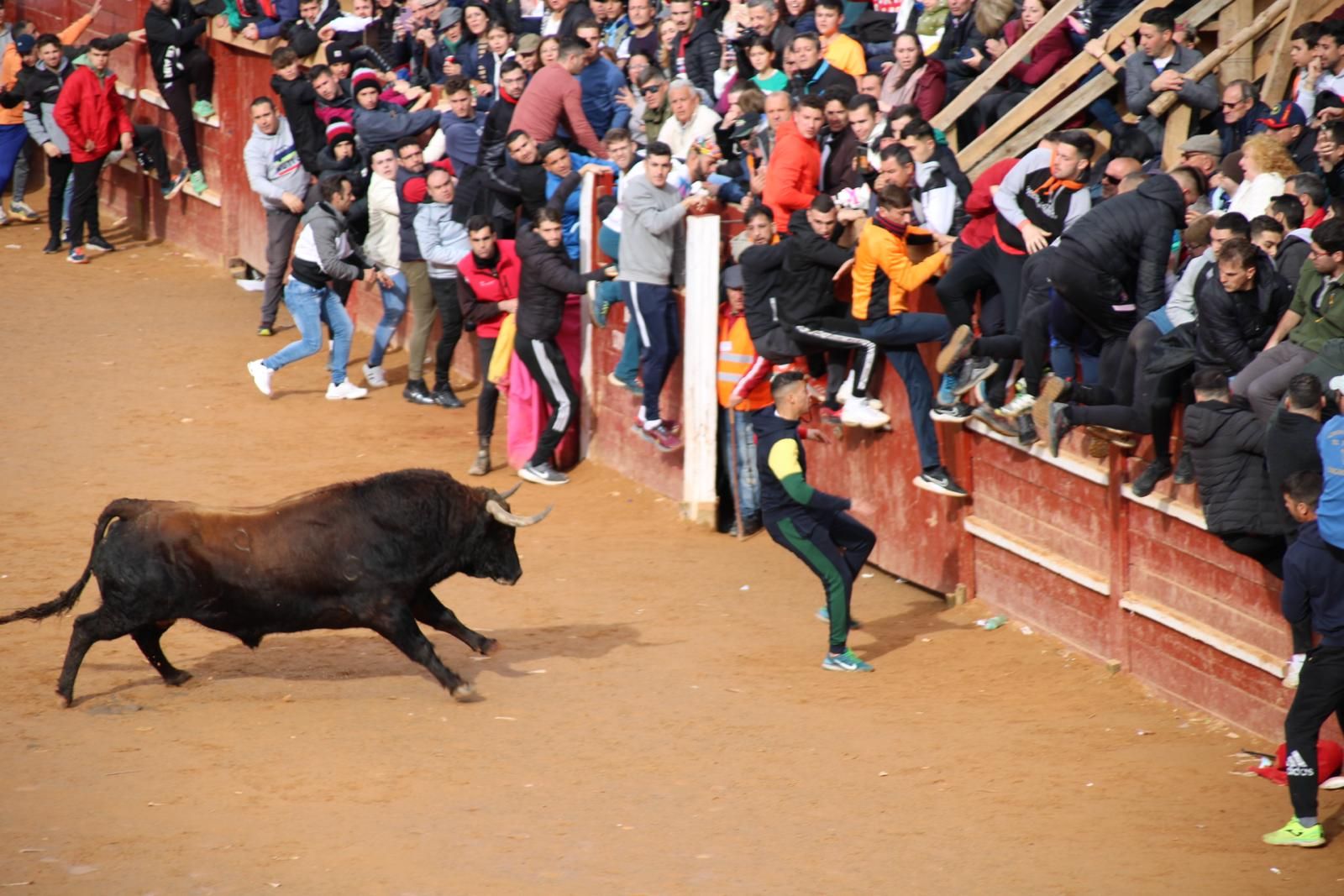 capea-matutina-del-martes-de-carnaval-1