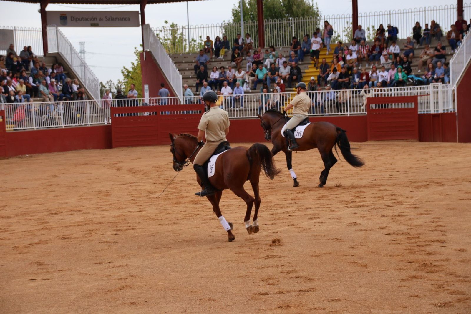 20230902111409-img-7050