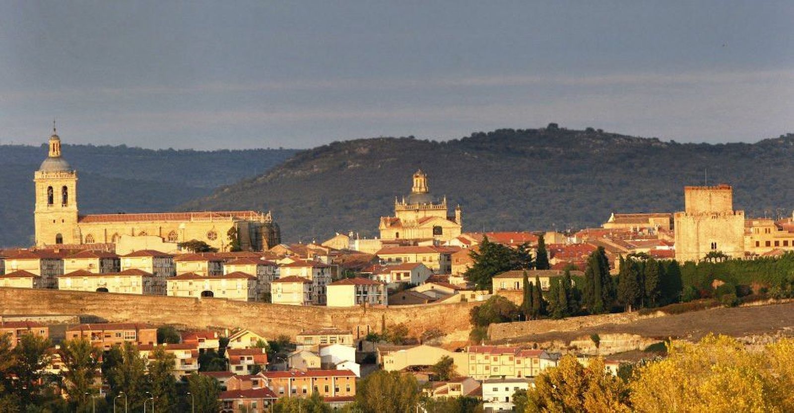 Ciudad rodrigo fondo 002