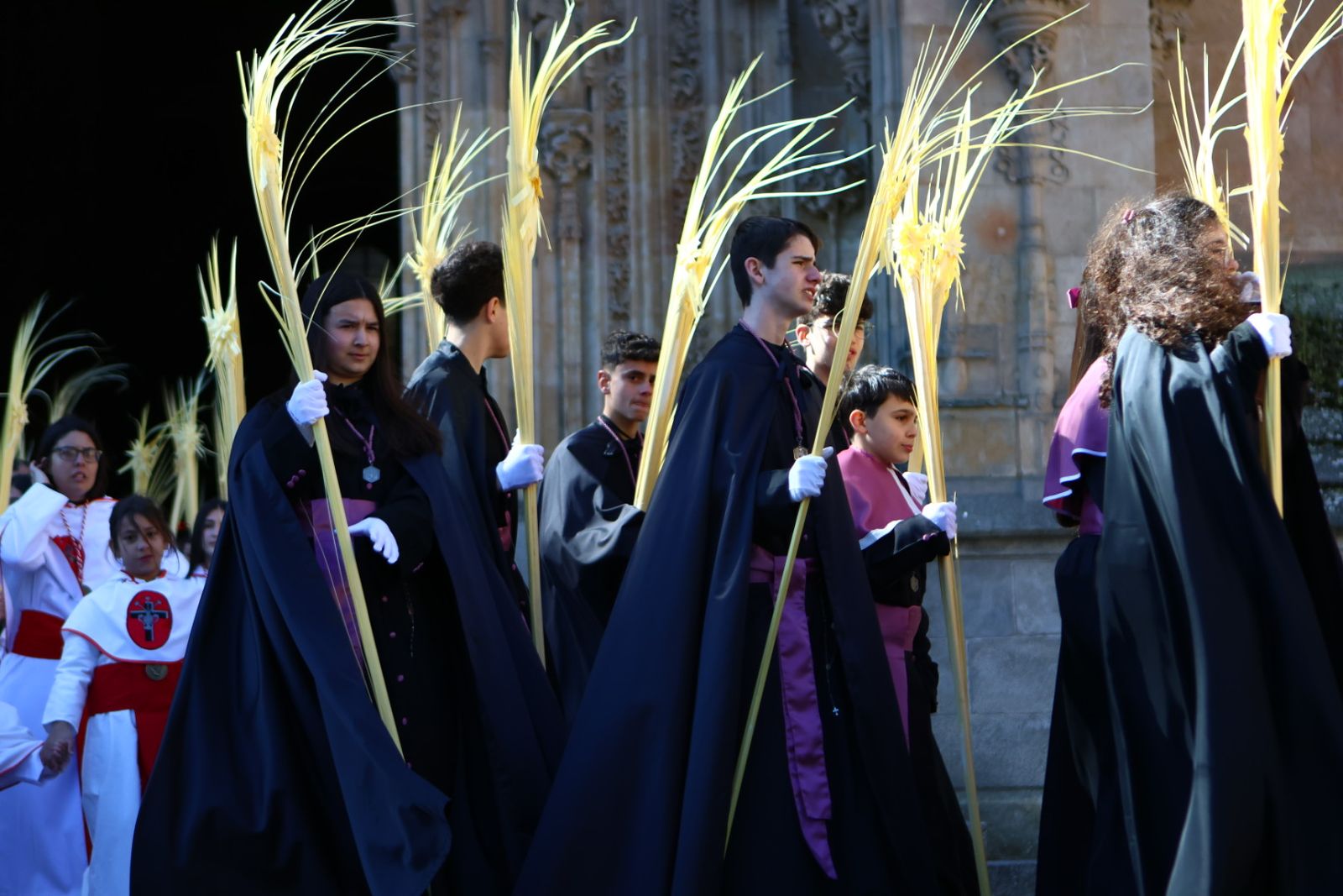 Procesión de la Borriquilla en Salamanca