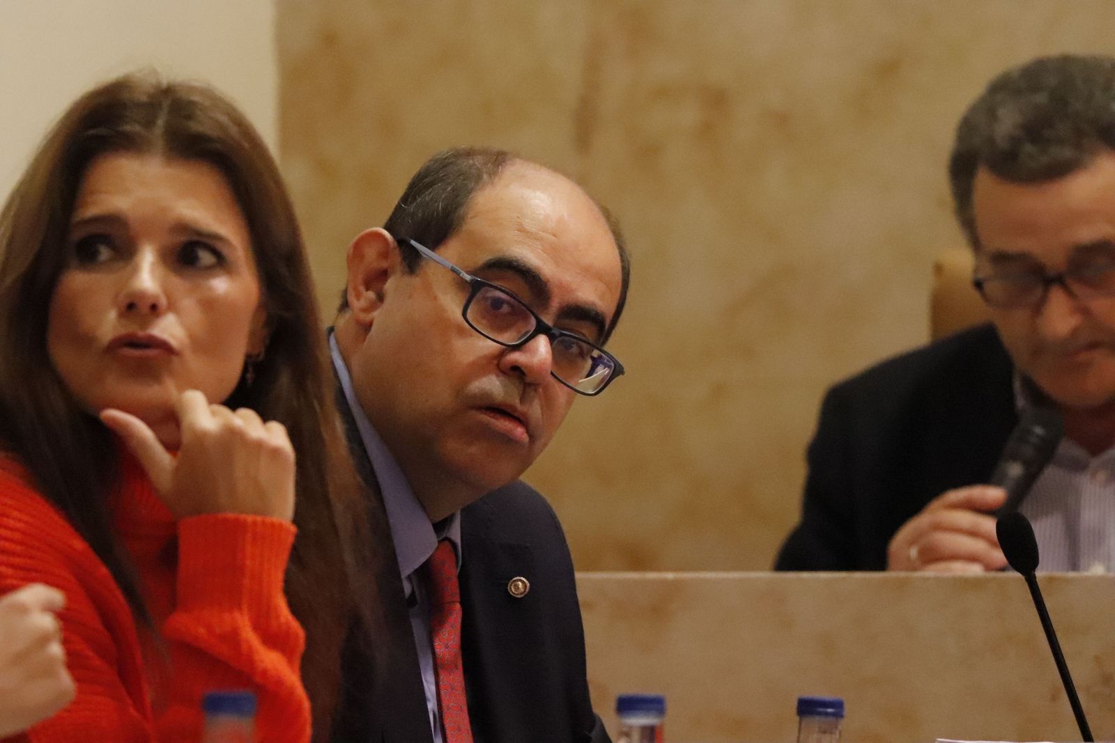 Pleno Municipal en el Salón de Plenos del Ayto