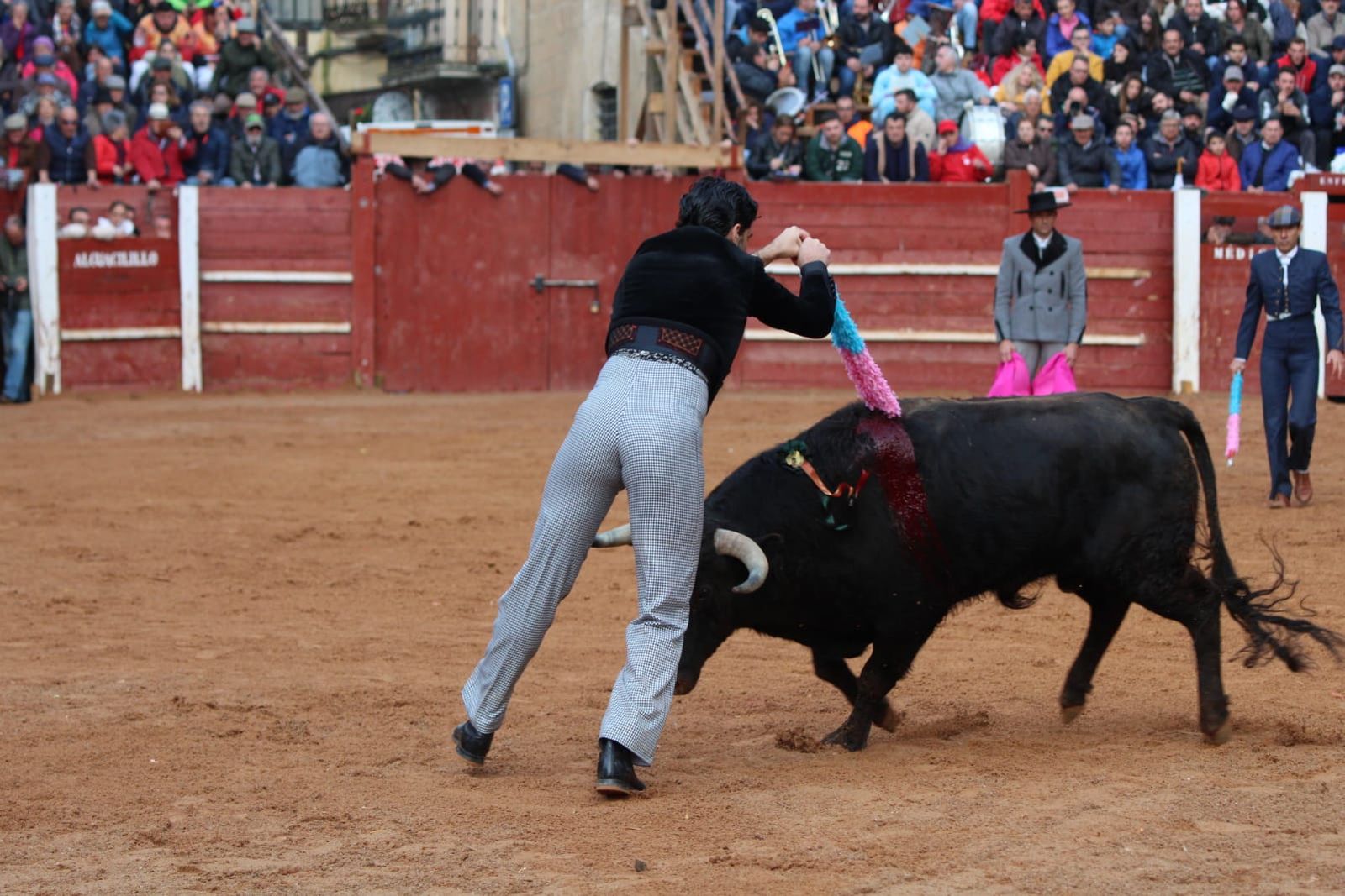 whatsapp-image-2023-02-21-at-17-36-54