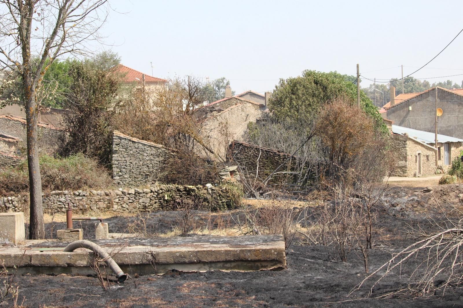 Así han quedado las zonas quemadas durante el incendio de Cipérez
