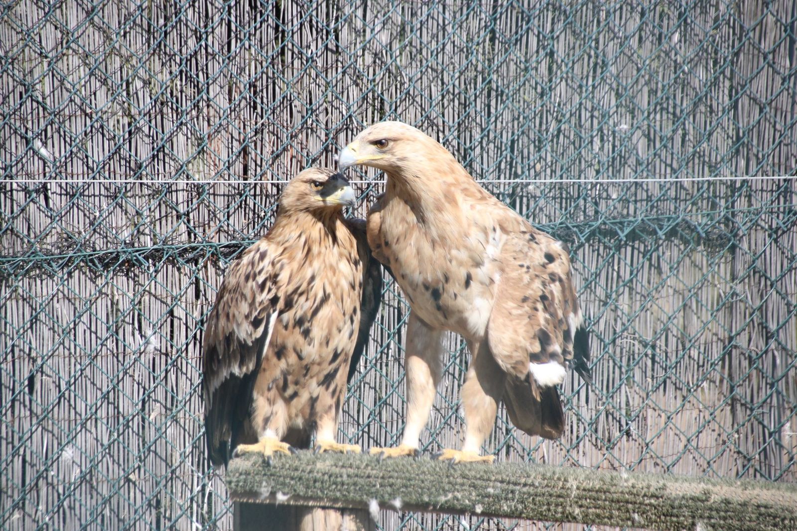 20230304150951-img-1638