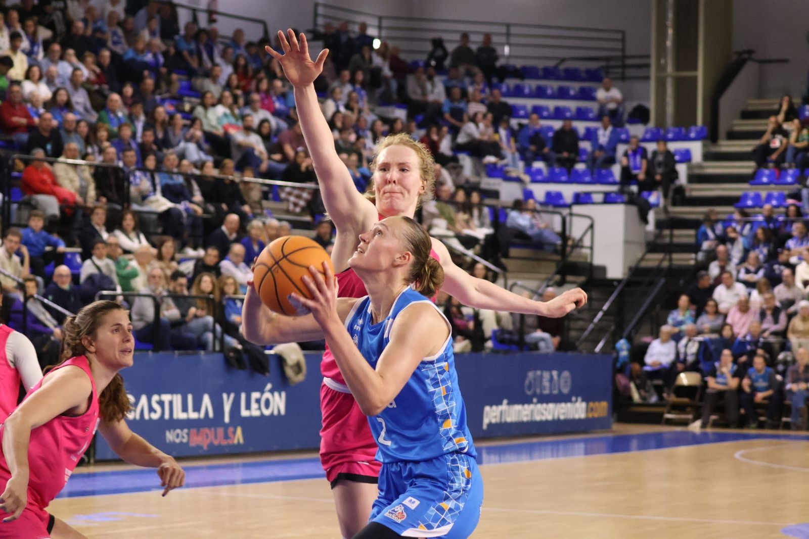 Perfumerías Avenida - Araski