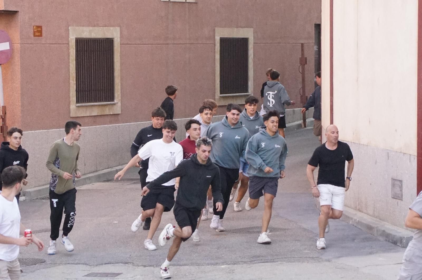 Encierro y capea en Alba de Tormes